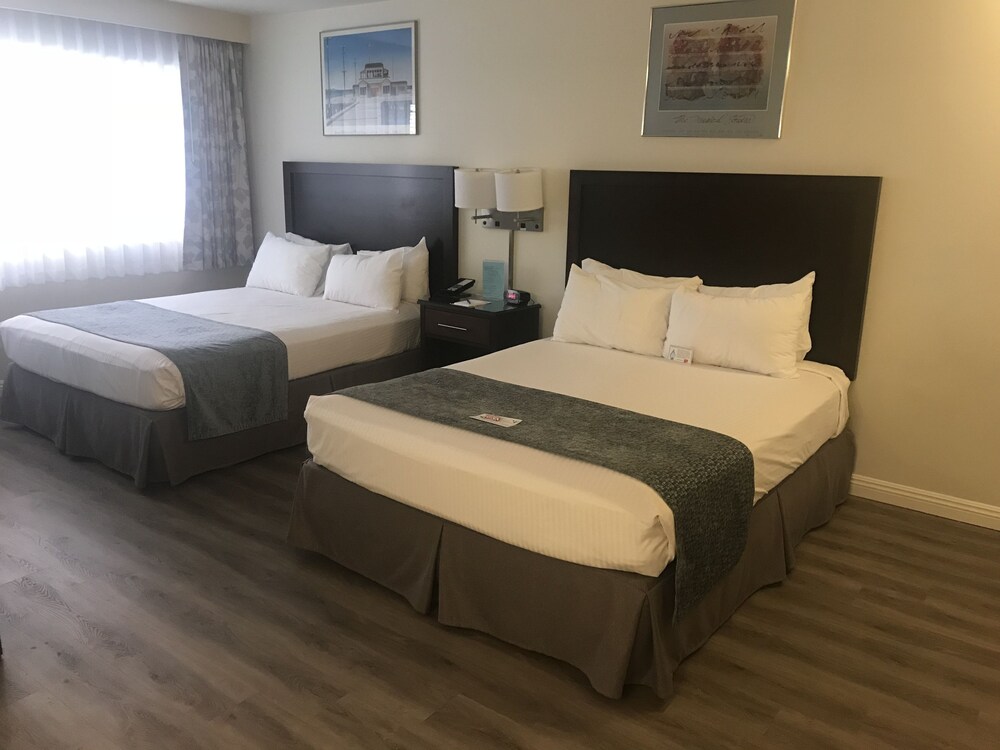 Hollywood Orchid Suites - photo 6