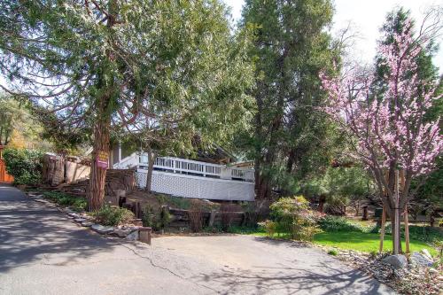 The Fishermen's Oasis - photo 15