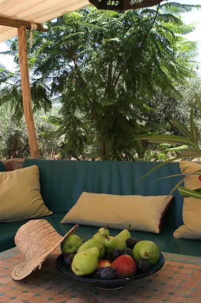 Les Jardins d'Ourika - last minute hotel in Marrakesh