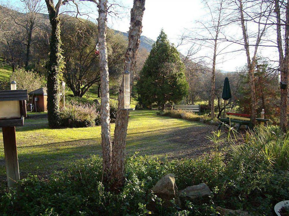 Bellevue Guesthouse - photo 15