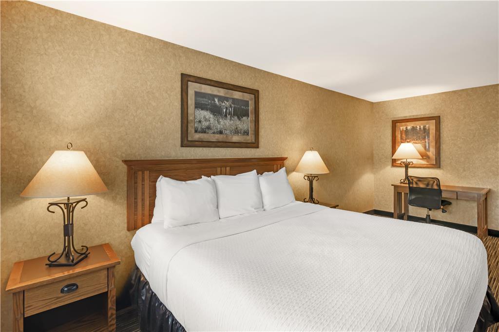 Best Western Plus Kelly Inn & Suites - photo 57