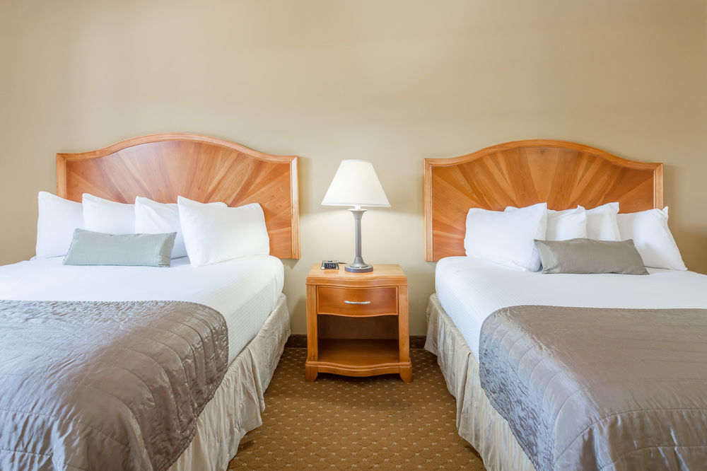 Howard Johnson Inn Asheville Biltmore - photo 21