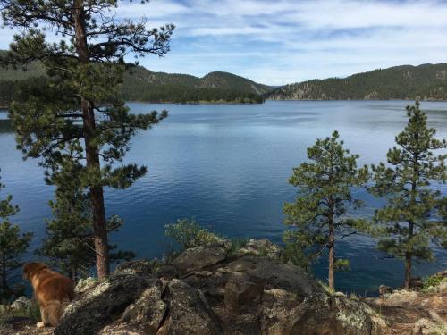 Priceless Black Hills View - photo 10