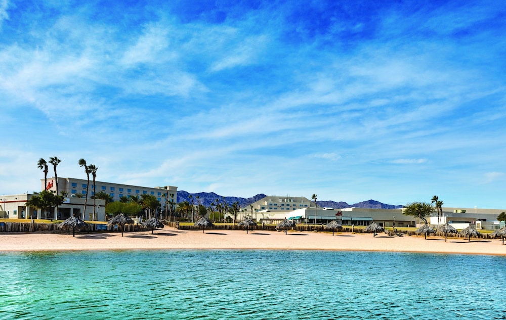Avi Resort & Casino - photo 40