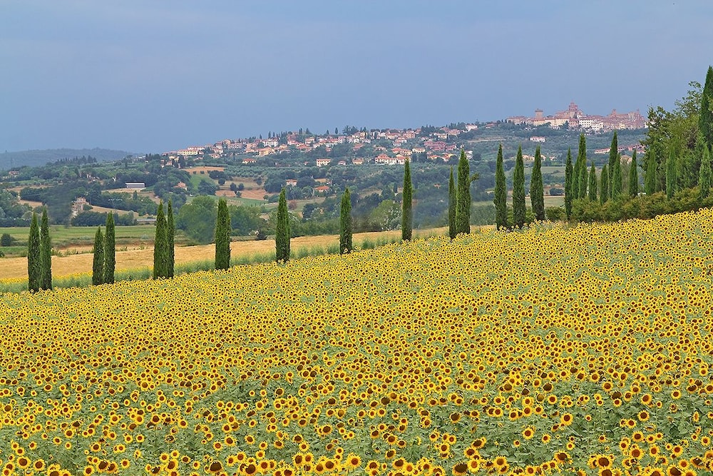 I Girasoli - carbon neutral hotel in Lucignano