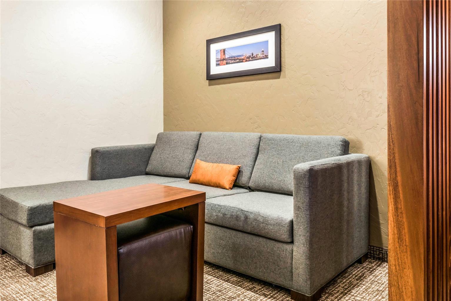 Comfort Suites Florence Cincinnati South - photo 27