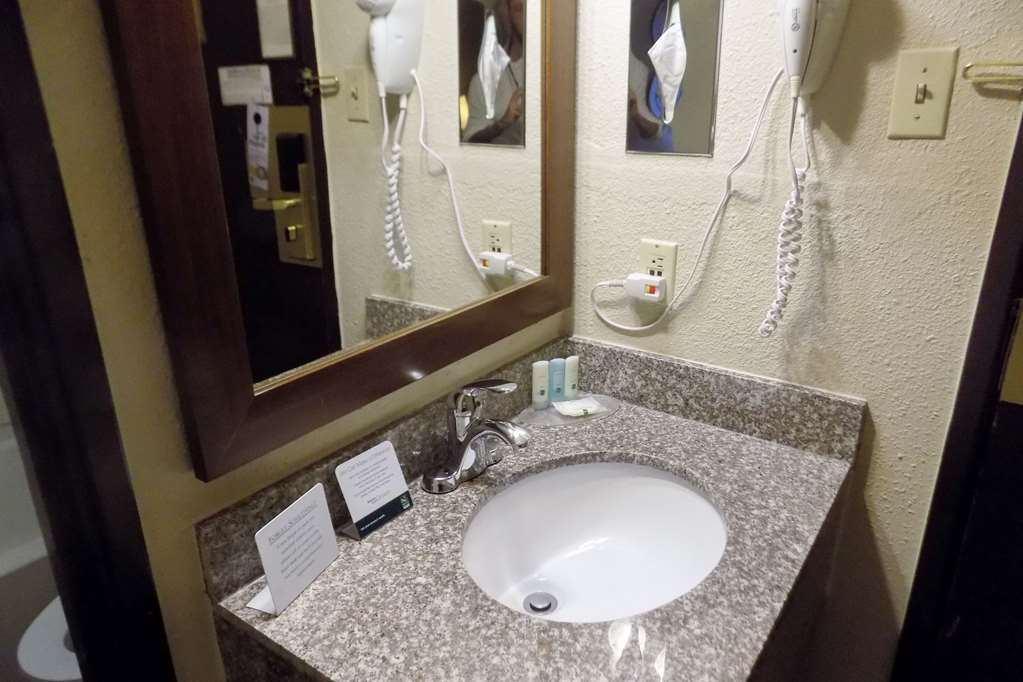 Quality Inn DFW Airport North - photo 24