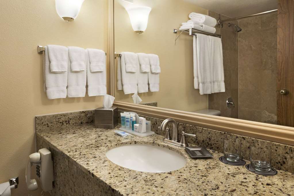 Wyndham El Paso Airport Hotel & Waterpark - photo 9