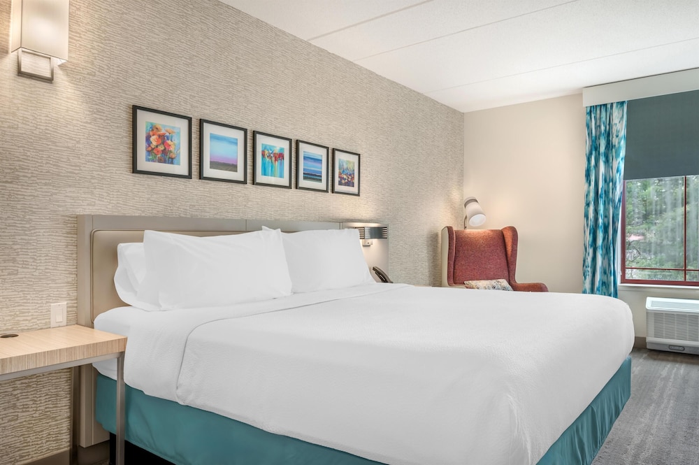 Hilton Garden Inn Wisconsin Dells - photo 77