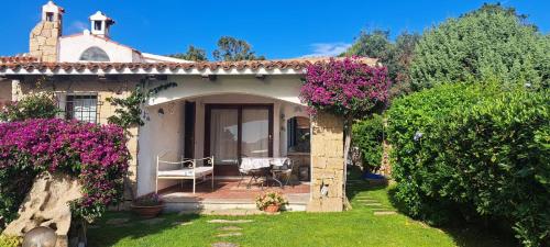 Lupo 1 in Cannigione, Italy