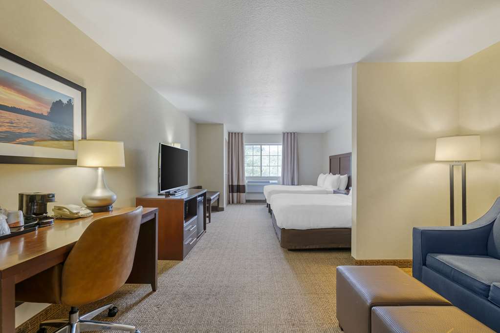 Comfort Suites Lake Geneva East - photo 18
