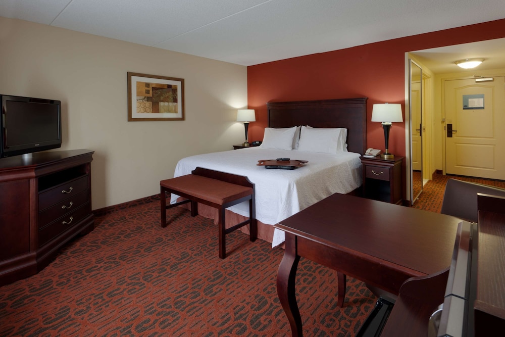 Hampton Inn Rochester Webster - photo 12