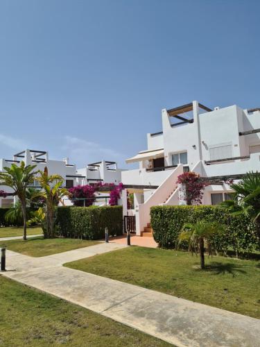 Jardin 566 — Alhama De Murcia — photo 3