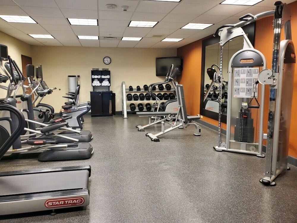 Hampton Inn & Suites Craig - photo 22