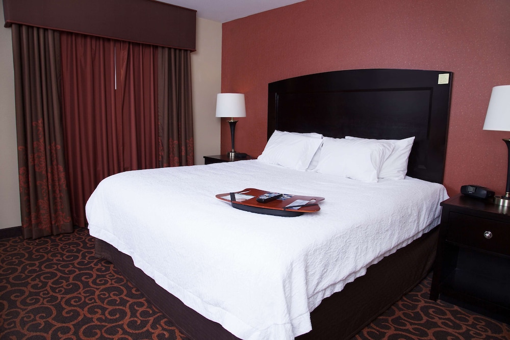 Hampton Inn & Suites Dickinson - photo 11