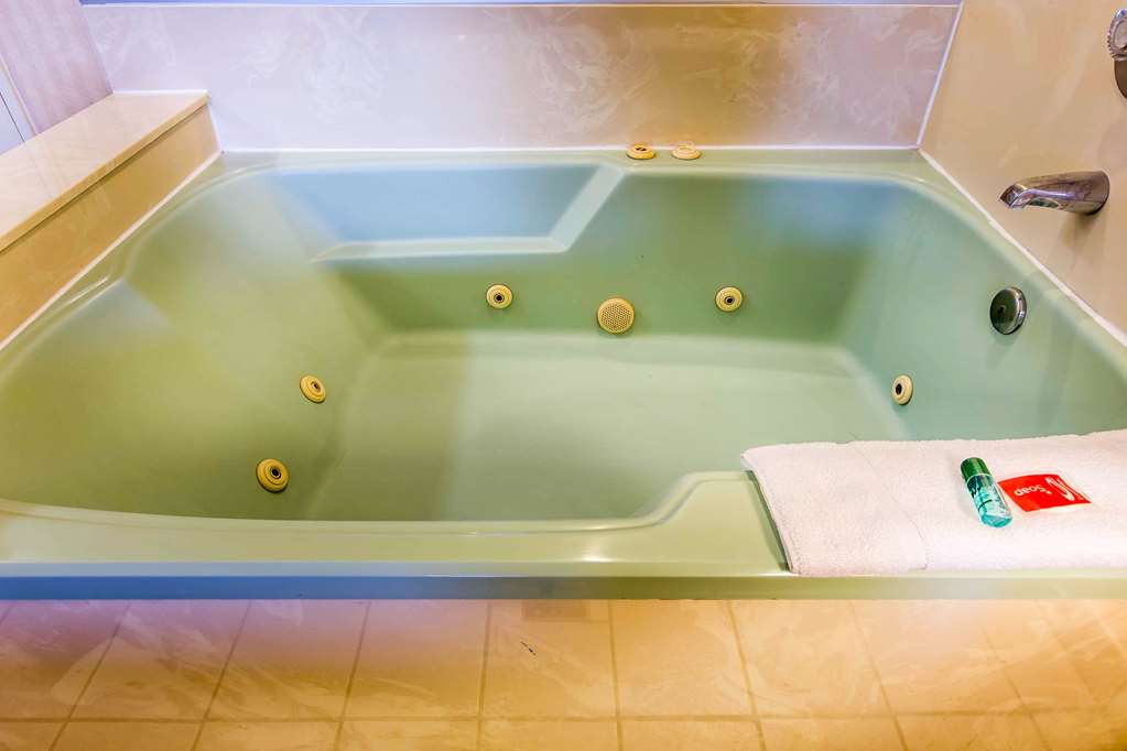 Econo Lodge Inn & Suites Riverside Corona - photo 13