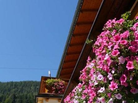 Ferienwohnungen Schnell — Flachau — photo 5
