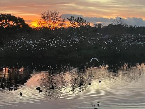 Private Tropical Waterfront Sanctuary w pool hot tub & an island Pet Friendly — hotel in New Port Richey
