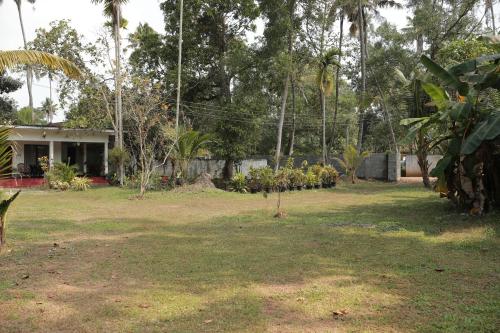 Marari Ebin Charlys — Alleppey — photo 4