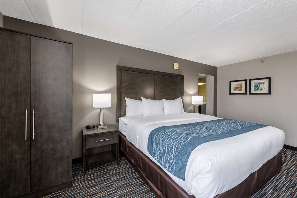 Comfort Inn Chicago Schaumburg O'Hare Airport - photo 24