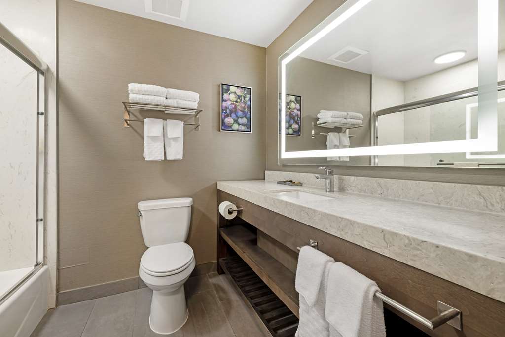 Best Western Plus Temecula Wine Country Hotel &Suites - photo 33