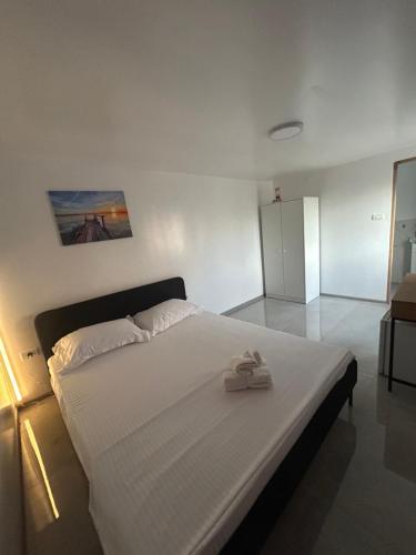 Tiny Hub in Costinesti, Romania