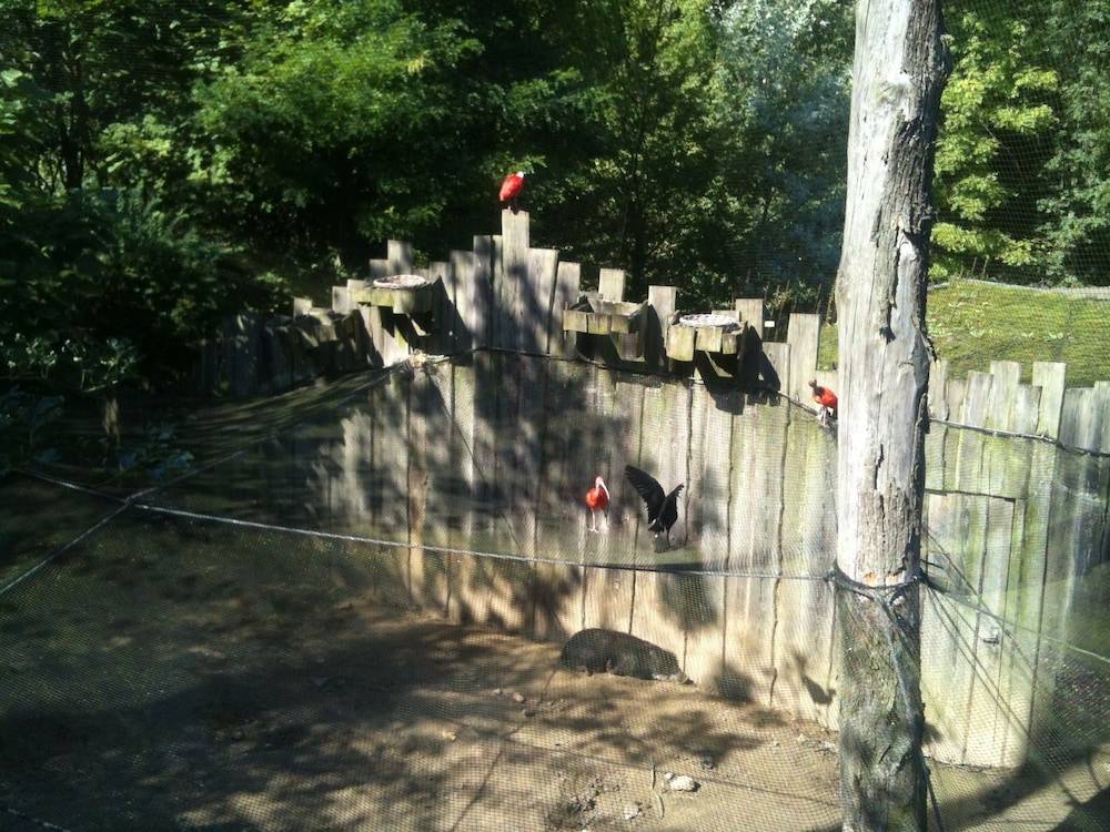 Children's activities