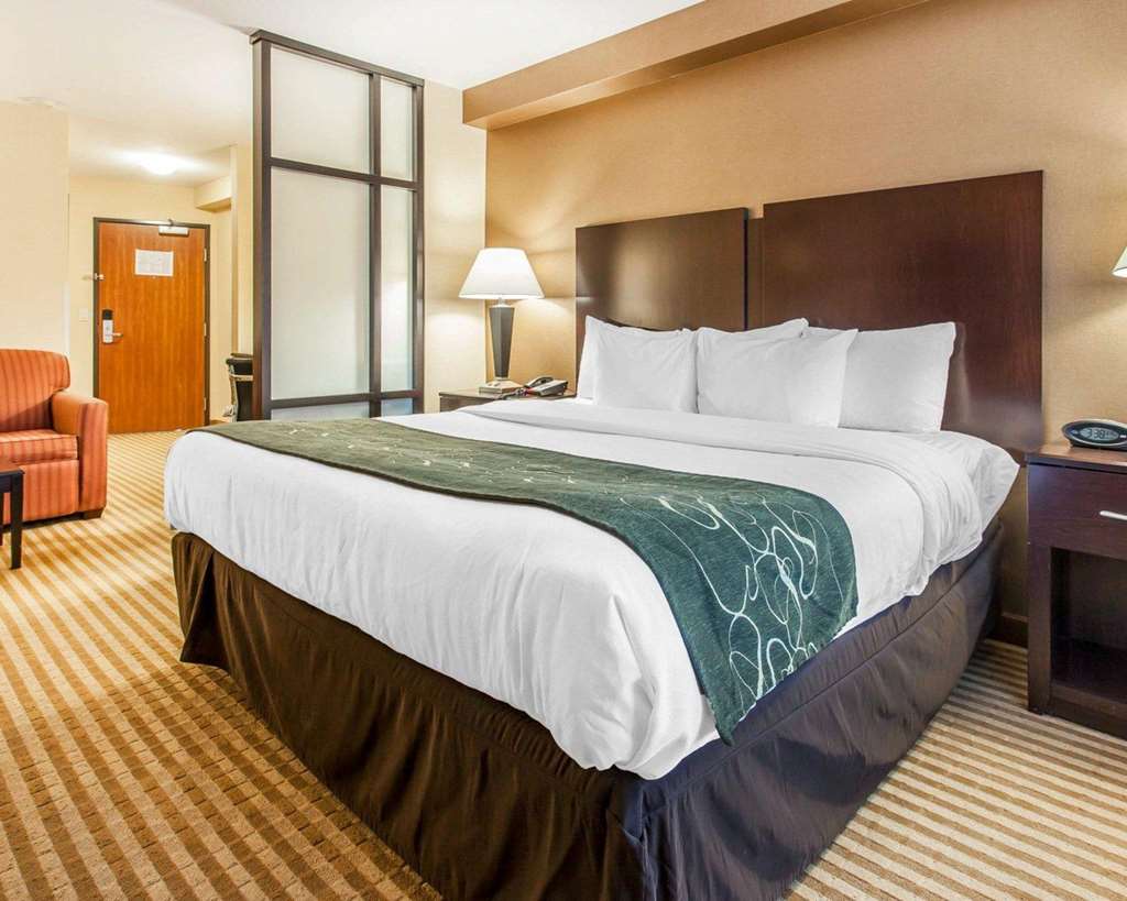 Comfort Suites Wenatchee Gateway - photo 19