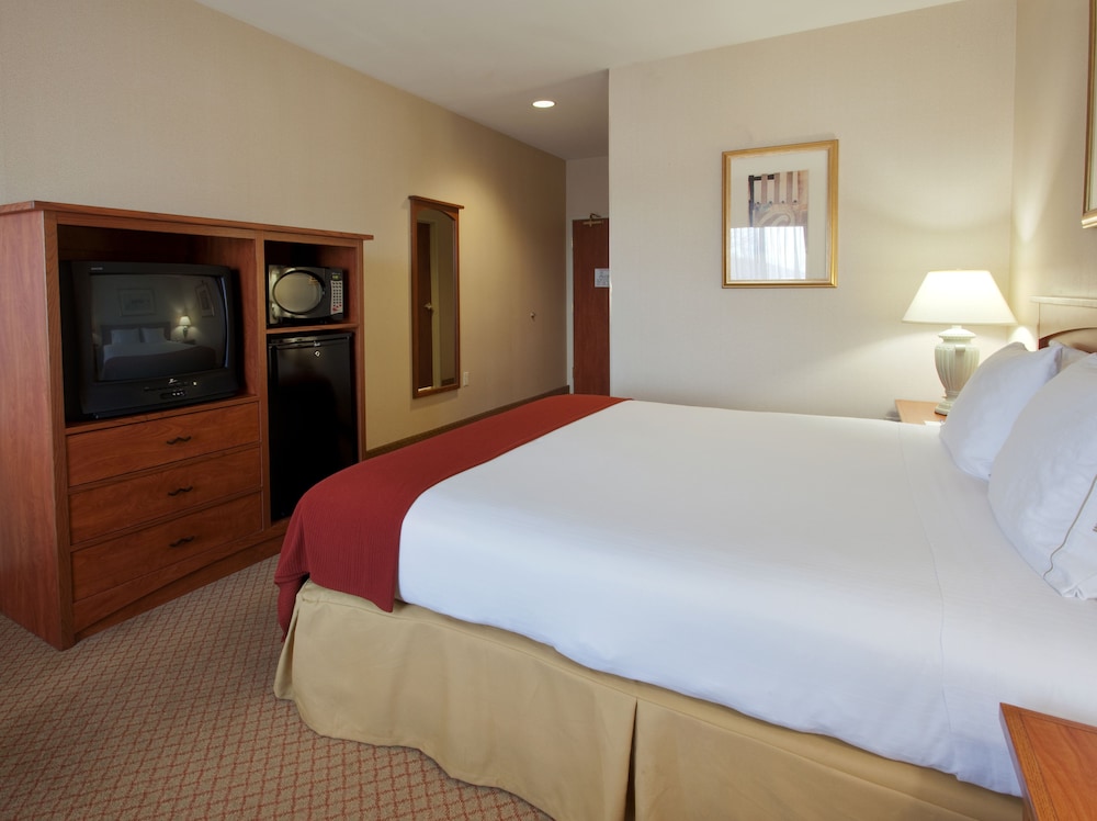 Holiday Inn Express & Suites Carson City an IHG Hotel - photo 4