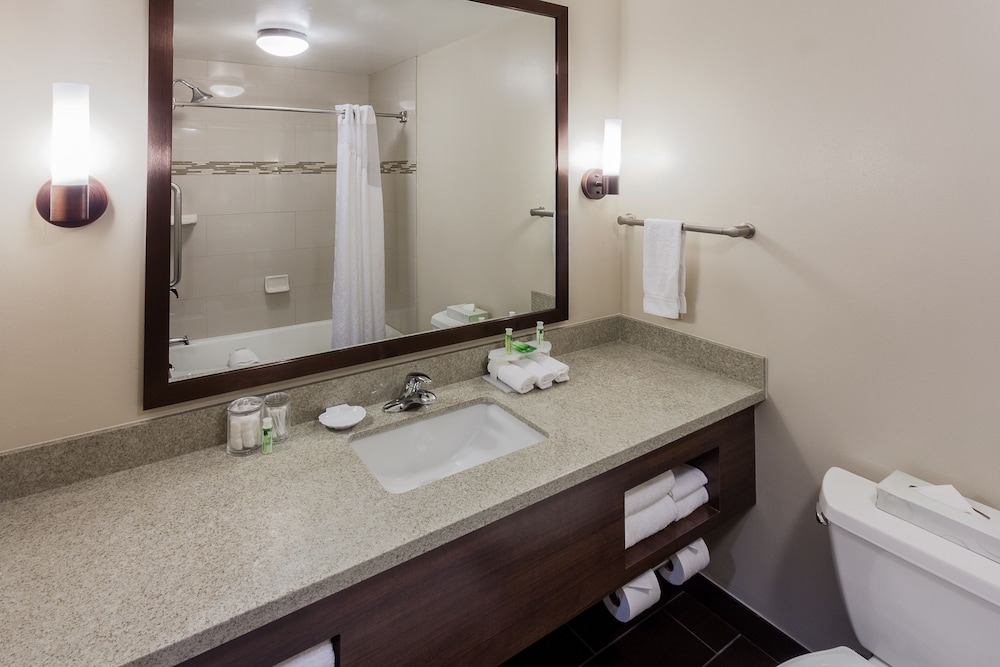 Holiday Inn Express & Suites Carpinteria by IHG - photo 15