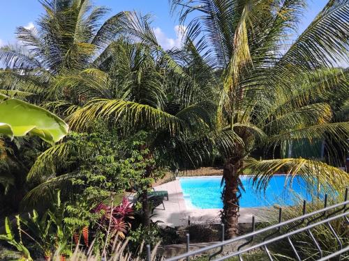 T2 jardin clos Les Nids de la Colline — 4-Star Luxury Hotel in Saint-Francois, Guadeloupe