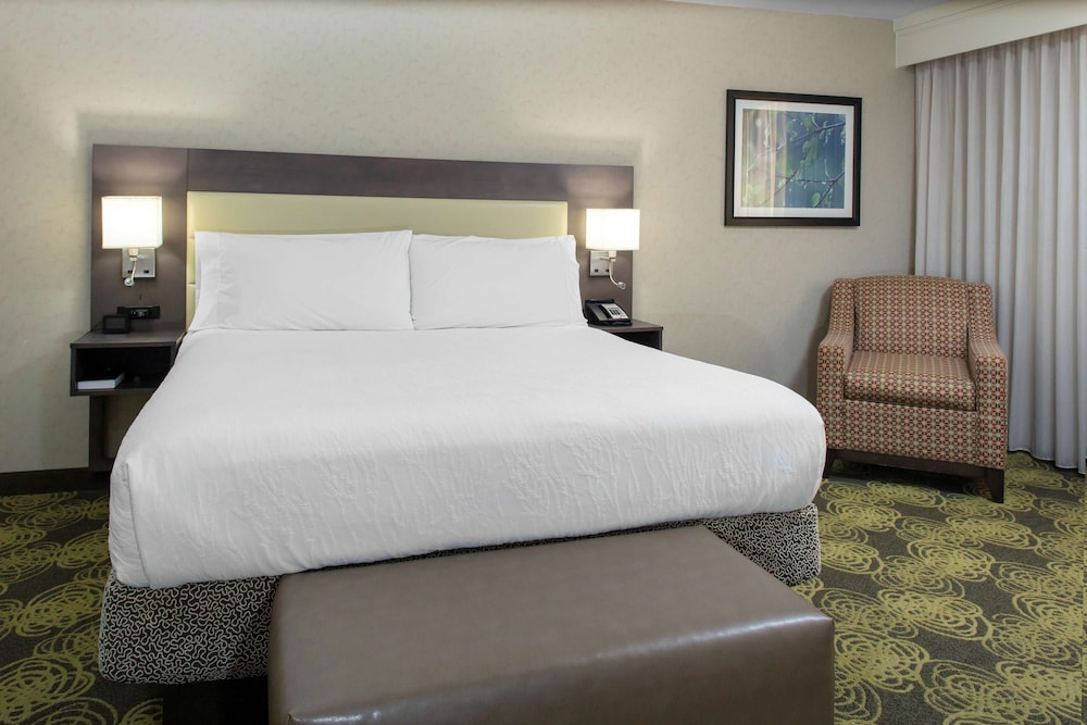 Hilton Garden Inn Reagan National Airport - photo 21