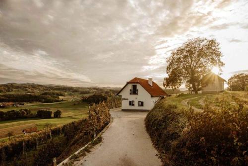 Holiday Home In Smarje Pri Jelsah Stajerska Untersteiermark 26087 17672672 — Smarje Pri Jelsah