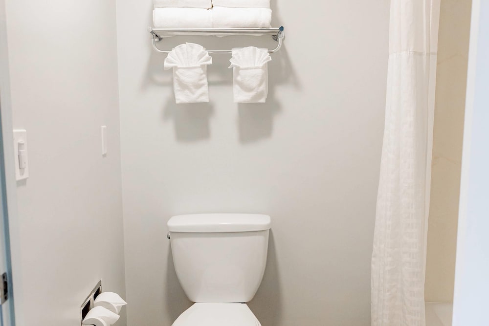 Quality Inn & Suites Lathrop South Stockton - photo 16