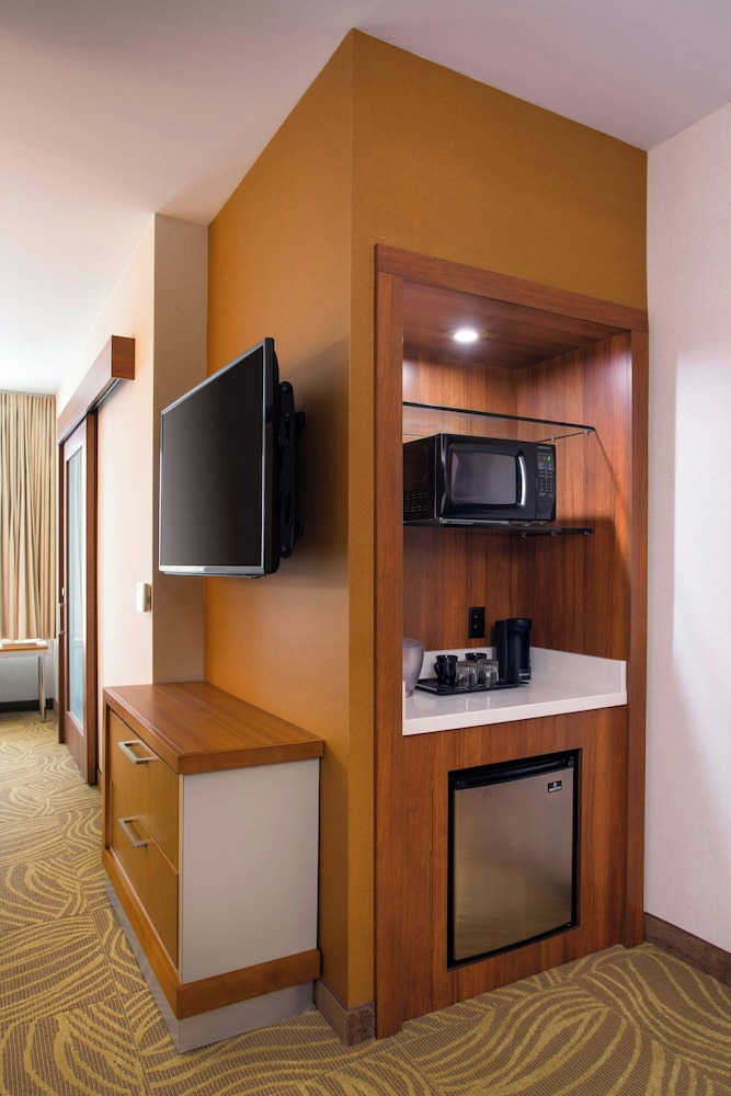 SpringHill Suites Los Angeles Burbank Downtown - photo 18