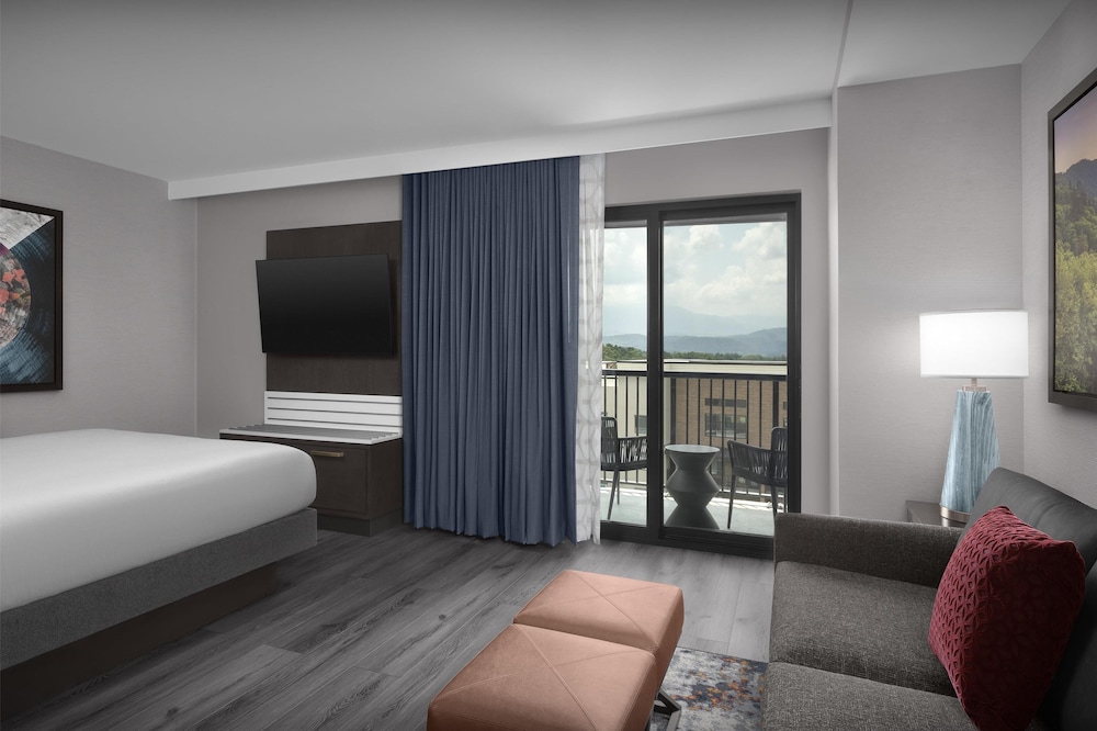 Embassy Suites by Hilton Pigeon Forge Resort - photo 15
