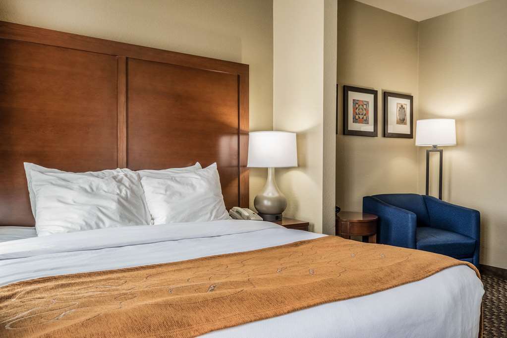 Comfort Suites Near Texas State University - photo 10