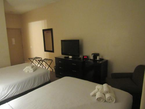 The Treme Hotel - photo 6