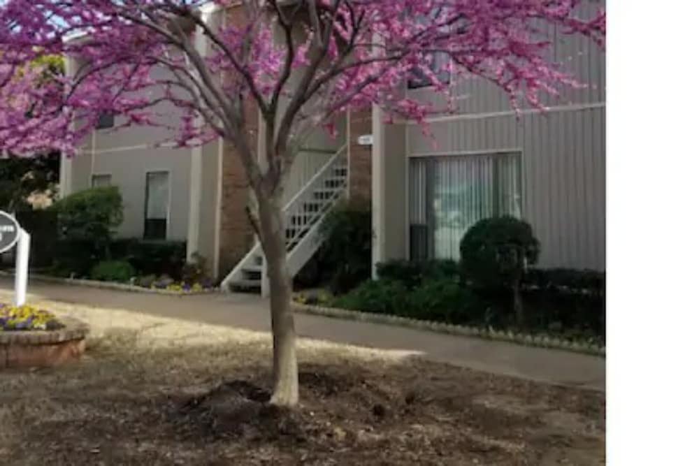 Ou 2 Bedroom 1 Bath Next Ou 12952746 — Norman
