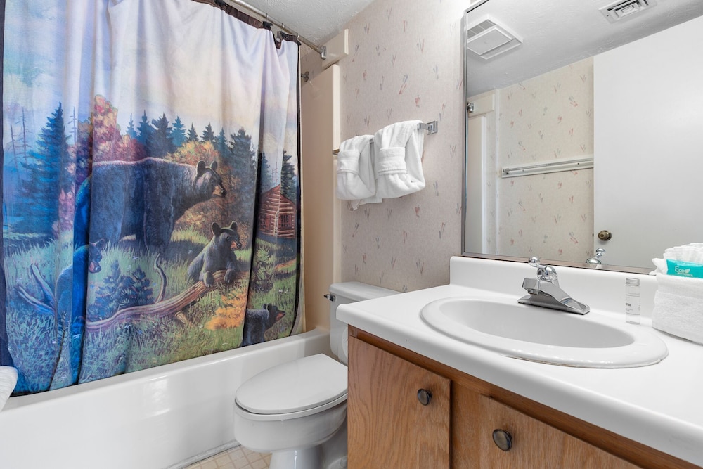 Deer Ridge Mountain Resort by JMR - photo 55