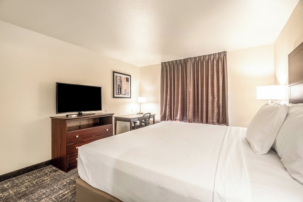 Cobblestone Inn & Suites Kermit - photo 13
