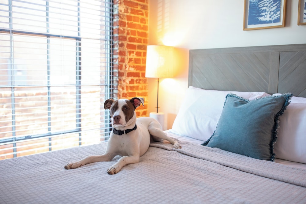 The Lofts at Downtown Salem - photo 30