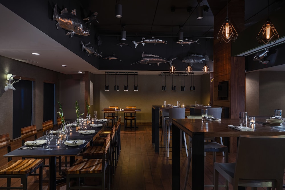 Renaissance Minneapolis Bloomington Hotel - photo 57