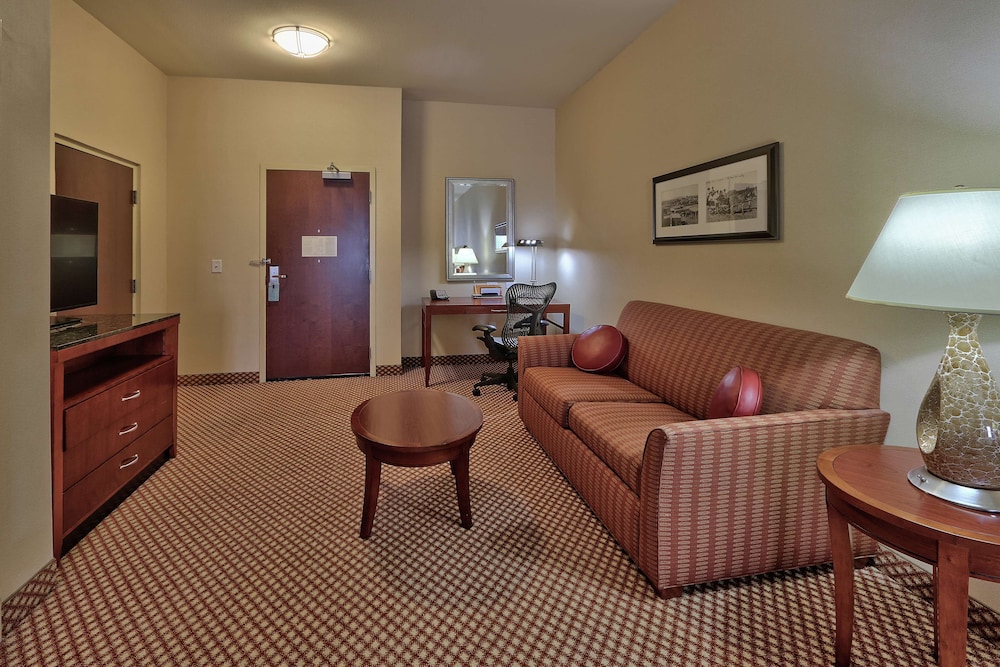 Hilton Garden Inn Las Cruces - photo 7