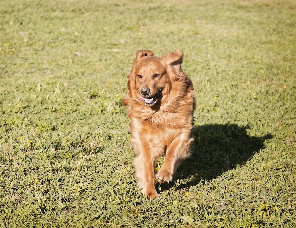 Seventy four Ranch - photo 29