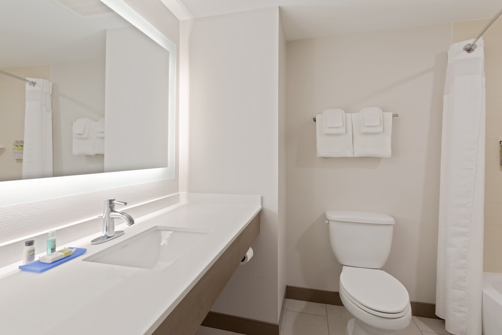 Holiday Inn Express Hotel & Suites Largo Clearwater by IHG - photo 14