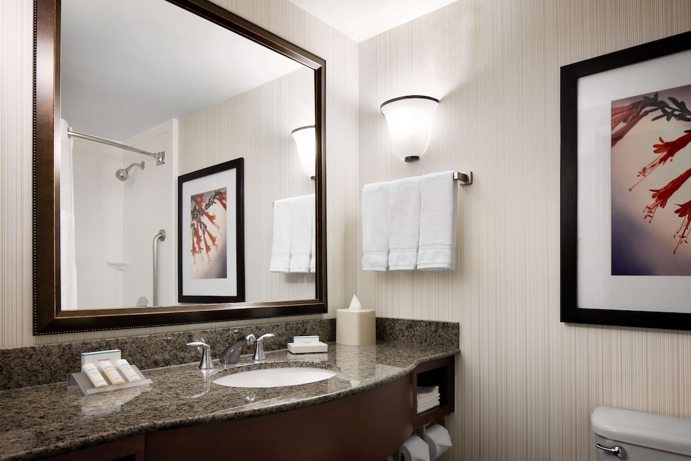 Hilton Garden Inn Denver South Park Meadows Area - photo 14