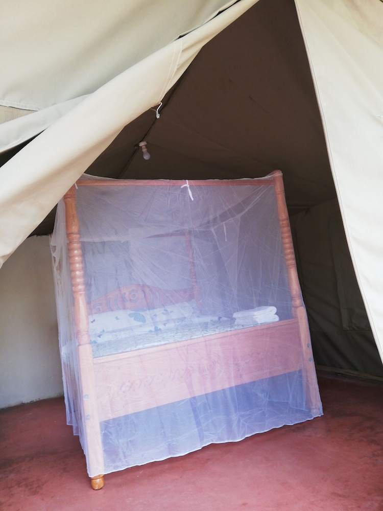 Eco mara forest camp — Meru — photo 2