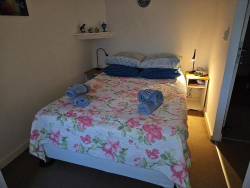 Sharon's Studio Blue — 4-Star Luxury Hotel in Maastricht, Netherlands