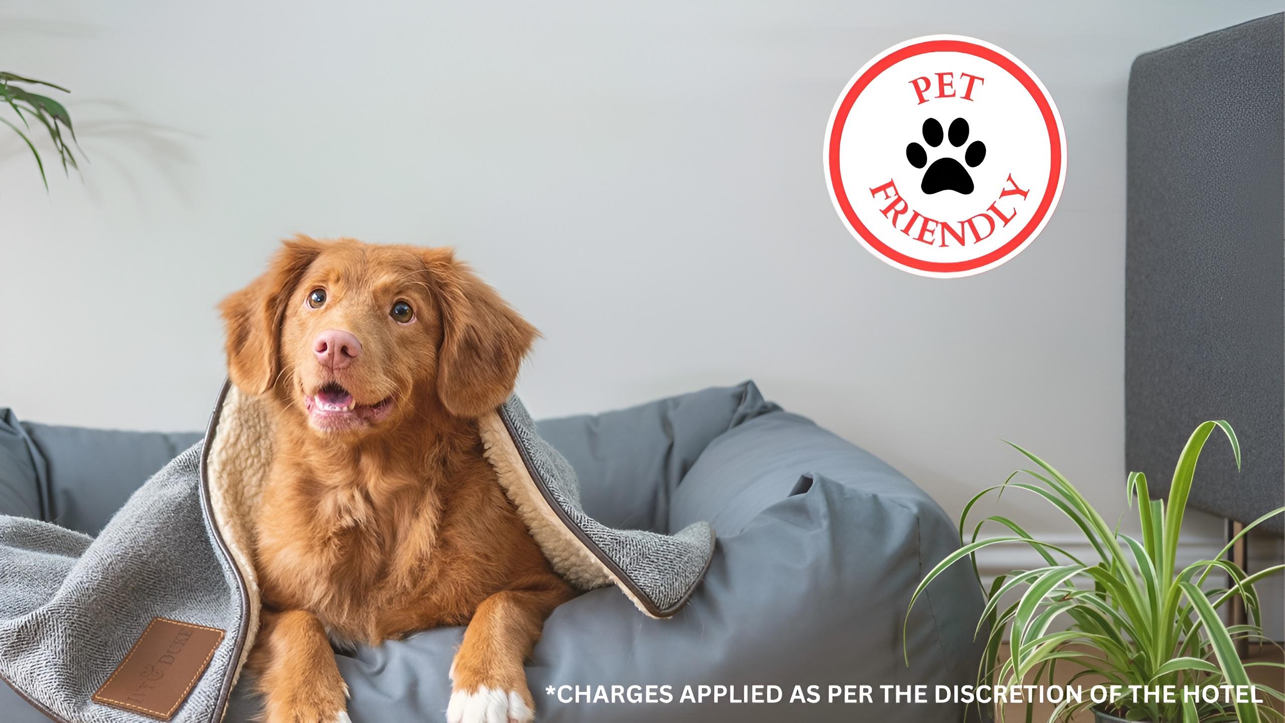 OYO Hotel Decatur TX Hwy 287 Northwest - photo 2